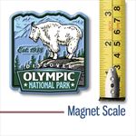 NCP115 Olympic National Park Magnet